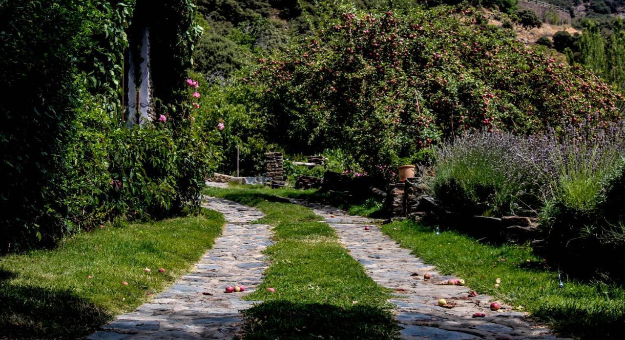 Casa Rural Catifalarga Alpujarra Capileira Kültér fotó
